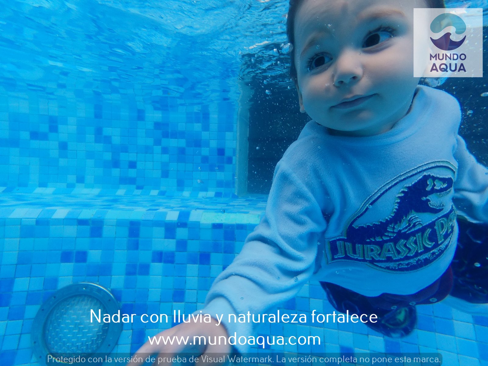 Aprendiendo natación para bebés programa lúdico
